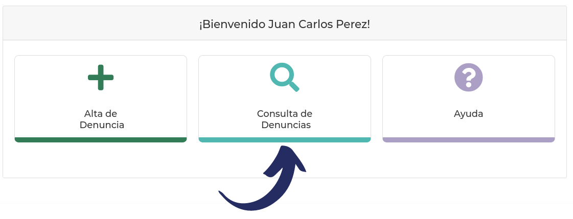 [Botón de Consulta Denuncia]